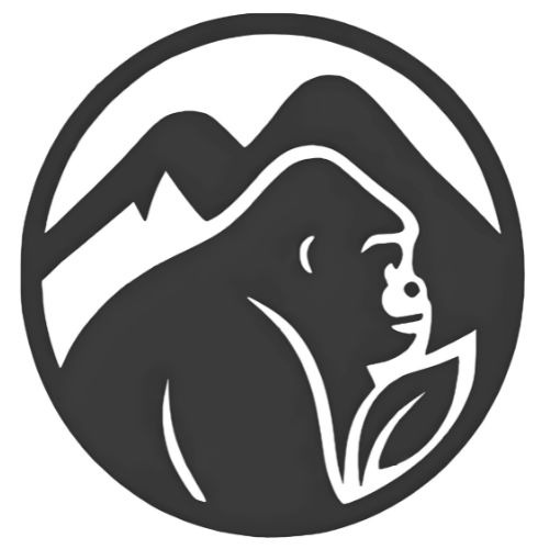 Website for Greentours Rwanda - project by AppSwifts
