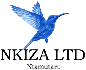 Nkiza Ltd