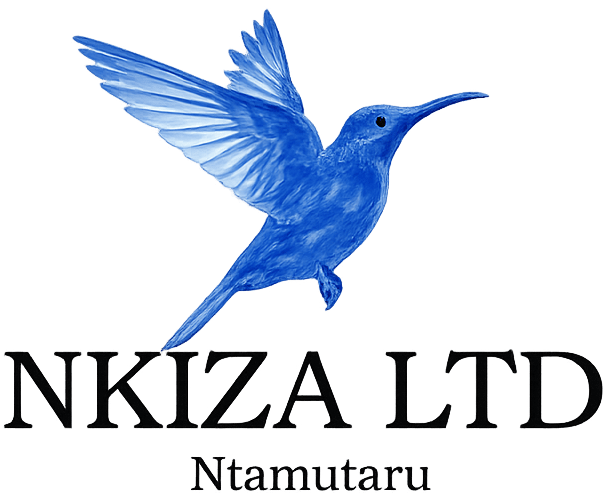 Nkiza Ltd